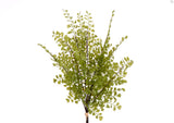 RAMO DE AVENCA 44 CM VERDE