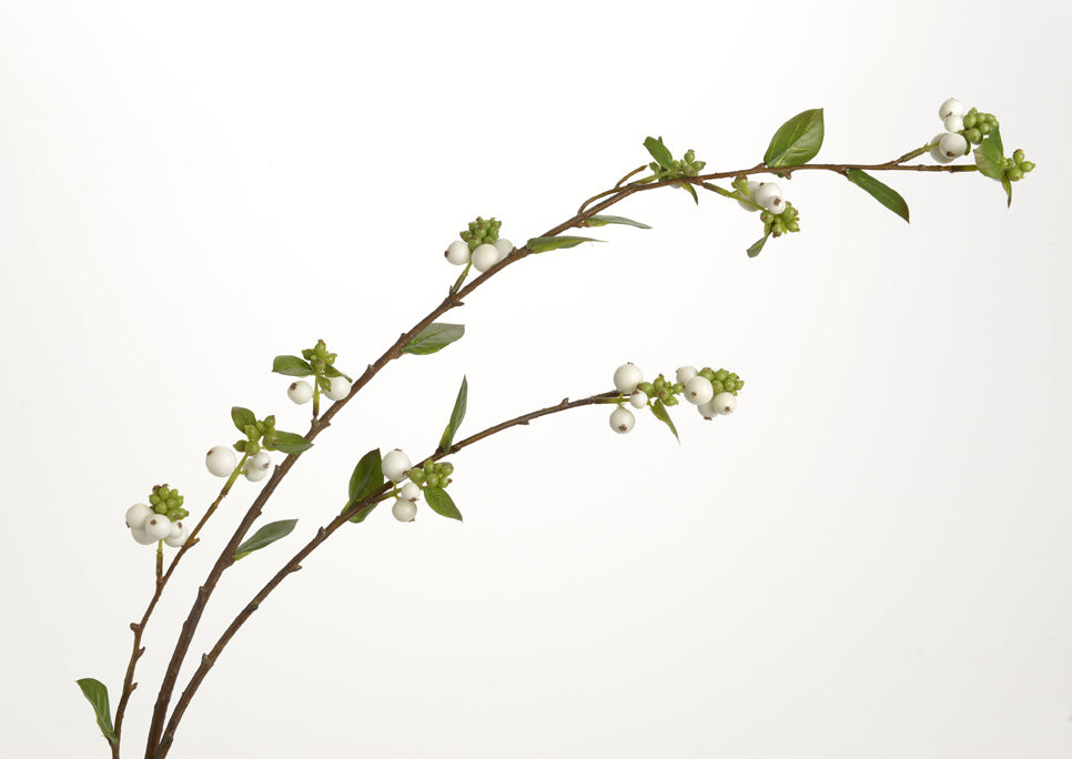 Ramo com folhas e flores brancas
