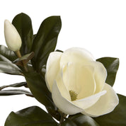 MAGNÓLIA 76 CM BRANCA