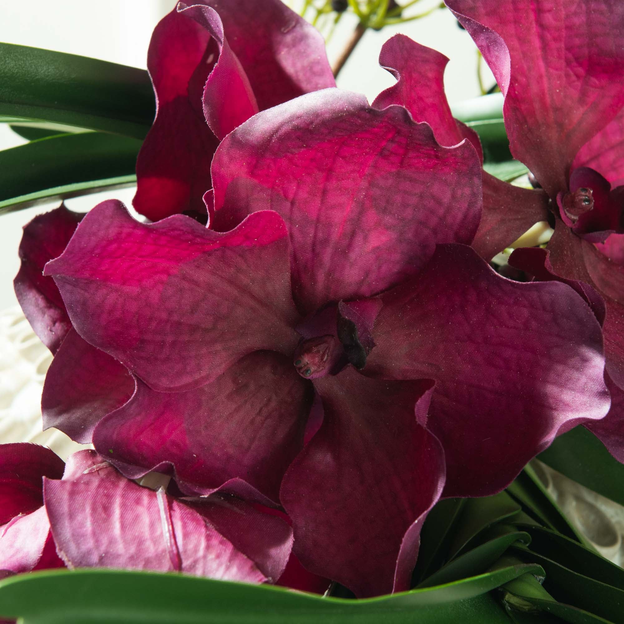 ORQUÍDEA VANDA TESSELLATA 52 CM MALVA