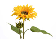 GIRASSOL 51 CM AMARELO
