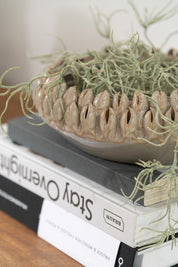 Taças Ibiza Baixas com Relevo