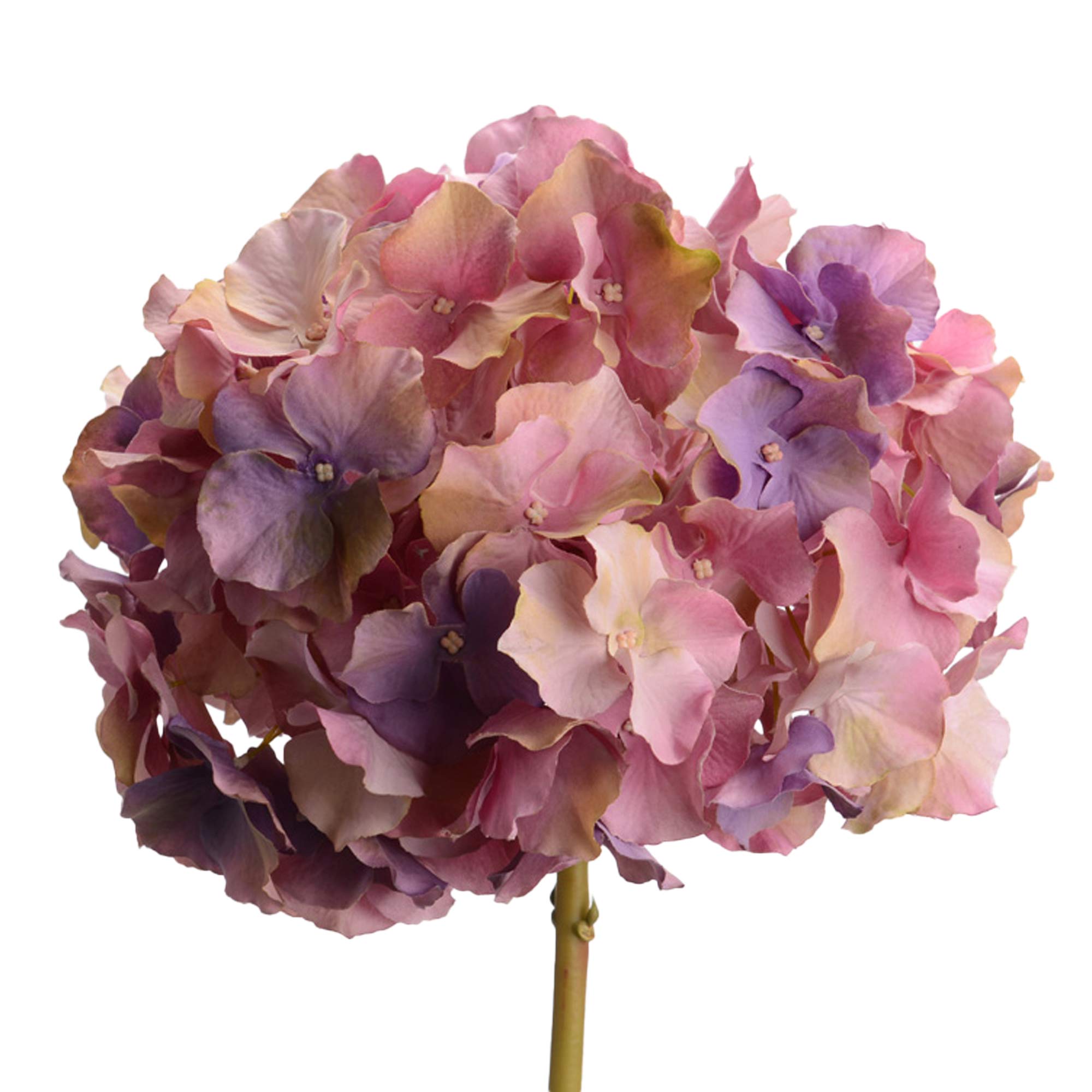 HORTÊNSIA ALTONA 48 CM VIOLETA