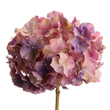 HORTÊNSIA ALTONA 48 CM VIOLETA