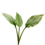 Ramo Artificial de Folhas Verdes