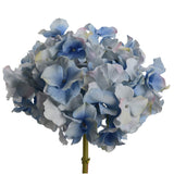 Ramo de Hortênsia Azul