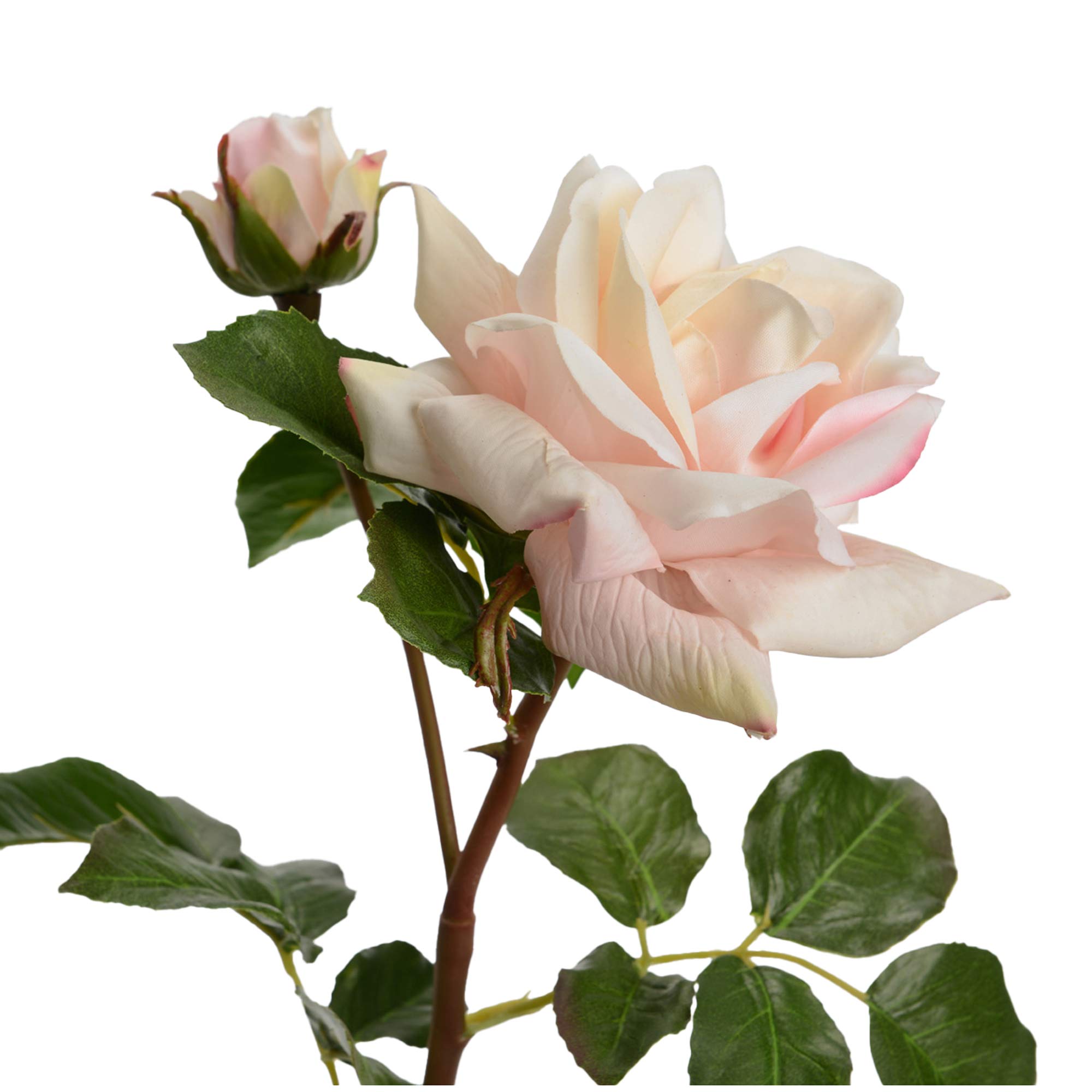 ROSA MELODY REALITY 53 CM ROSA CLARO