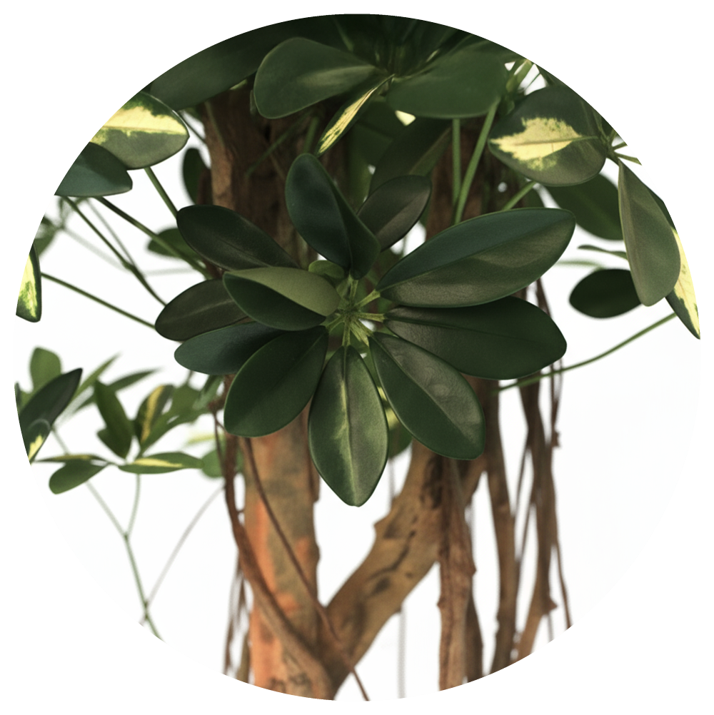 Árvore Artificial Cheflera