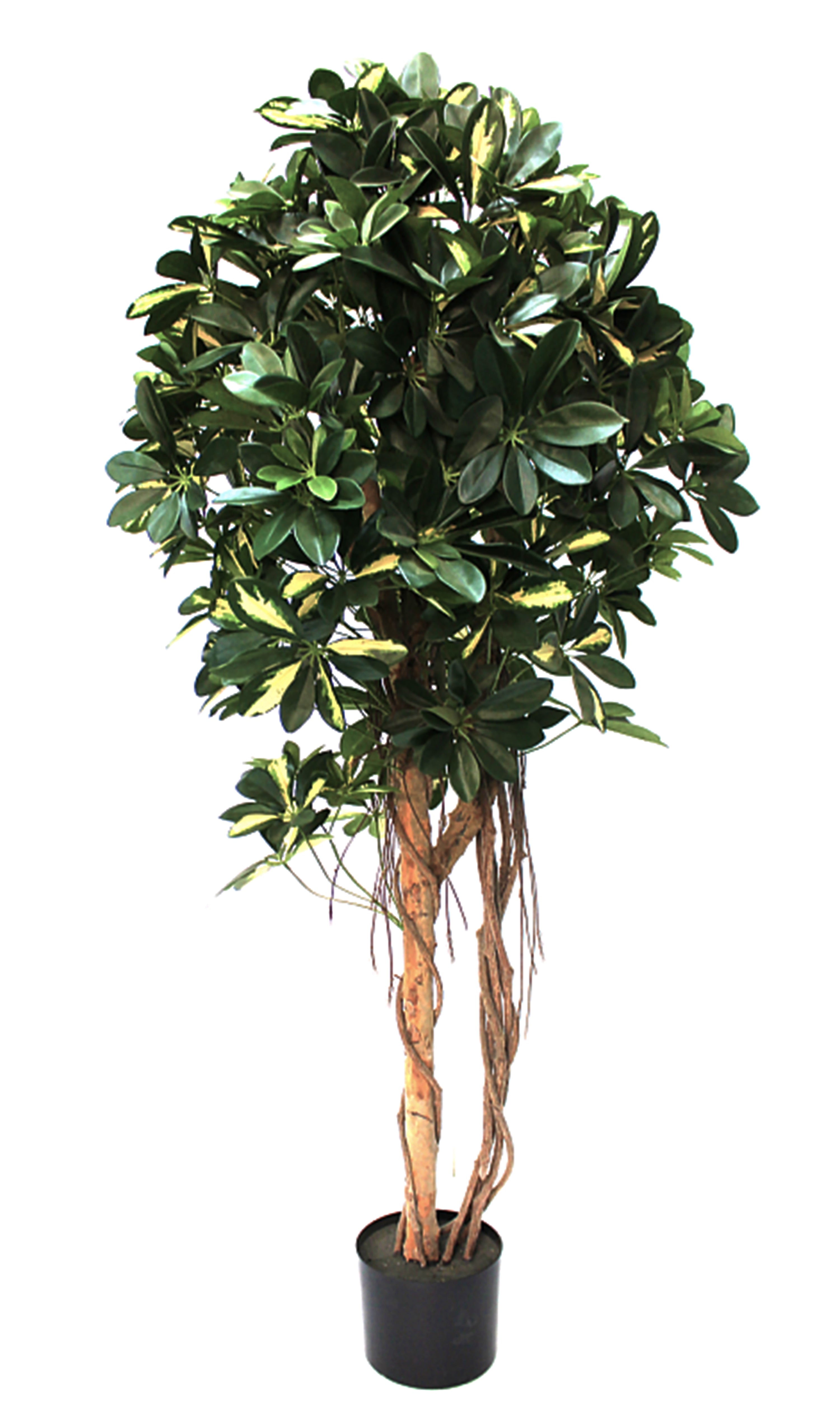 Árvore Artificial Cheflera