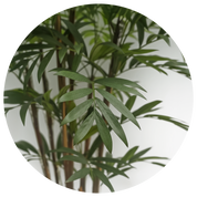 Árvore Artifical Palmeira Areca