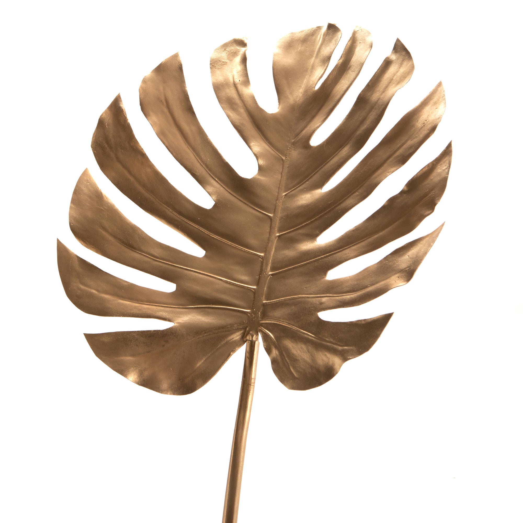 Golden Monstera Leaf
