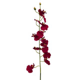 ORQUÍDEA MARIPOSA 60 CM BORDEAUX