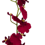 ORQUÍDEA MARIPOSA 60 CM BORDEAUX