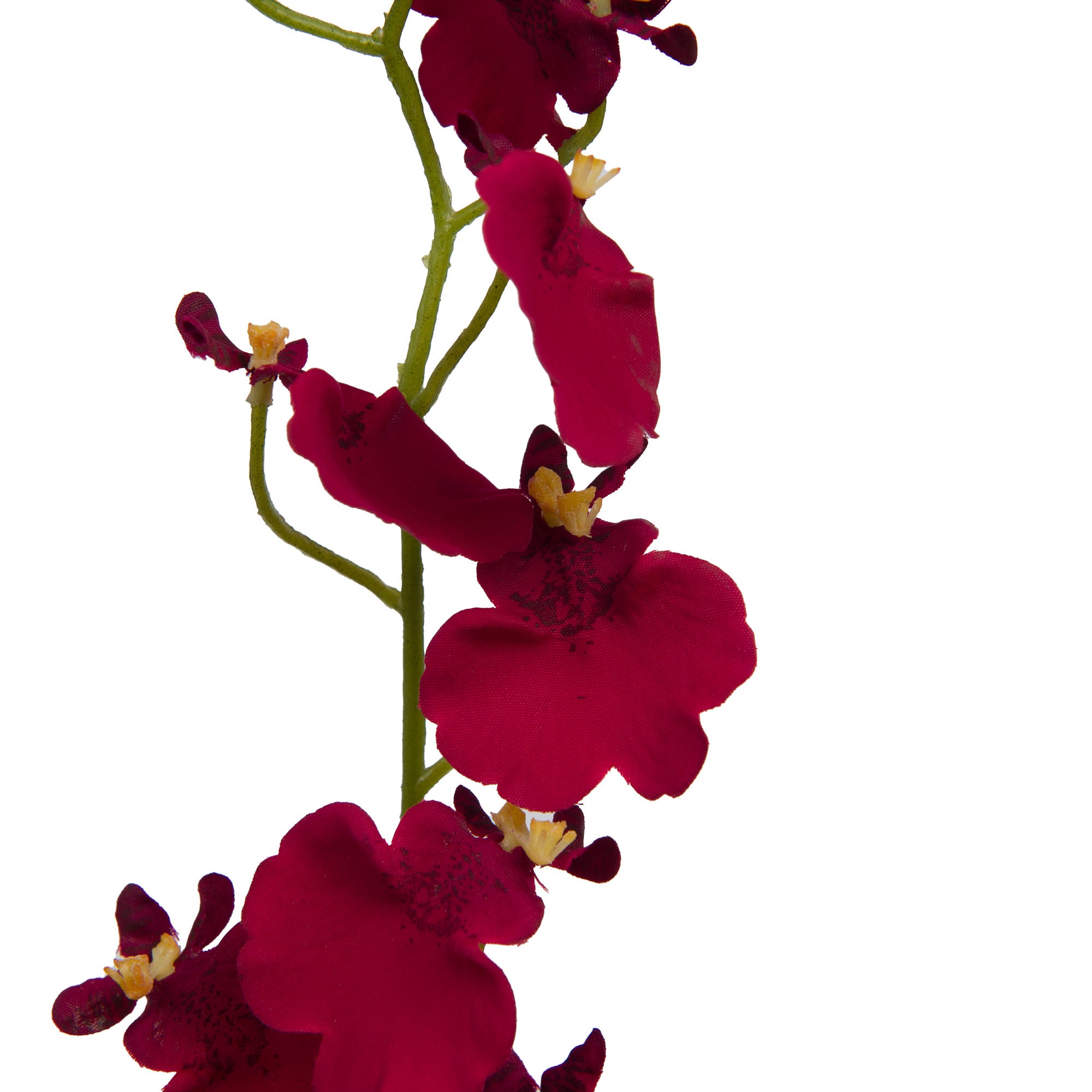 ORQUÍDEA MARIPOSA 60 CM BORDEAUX