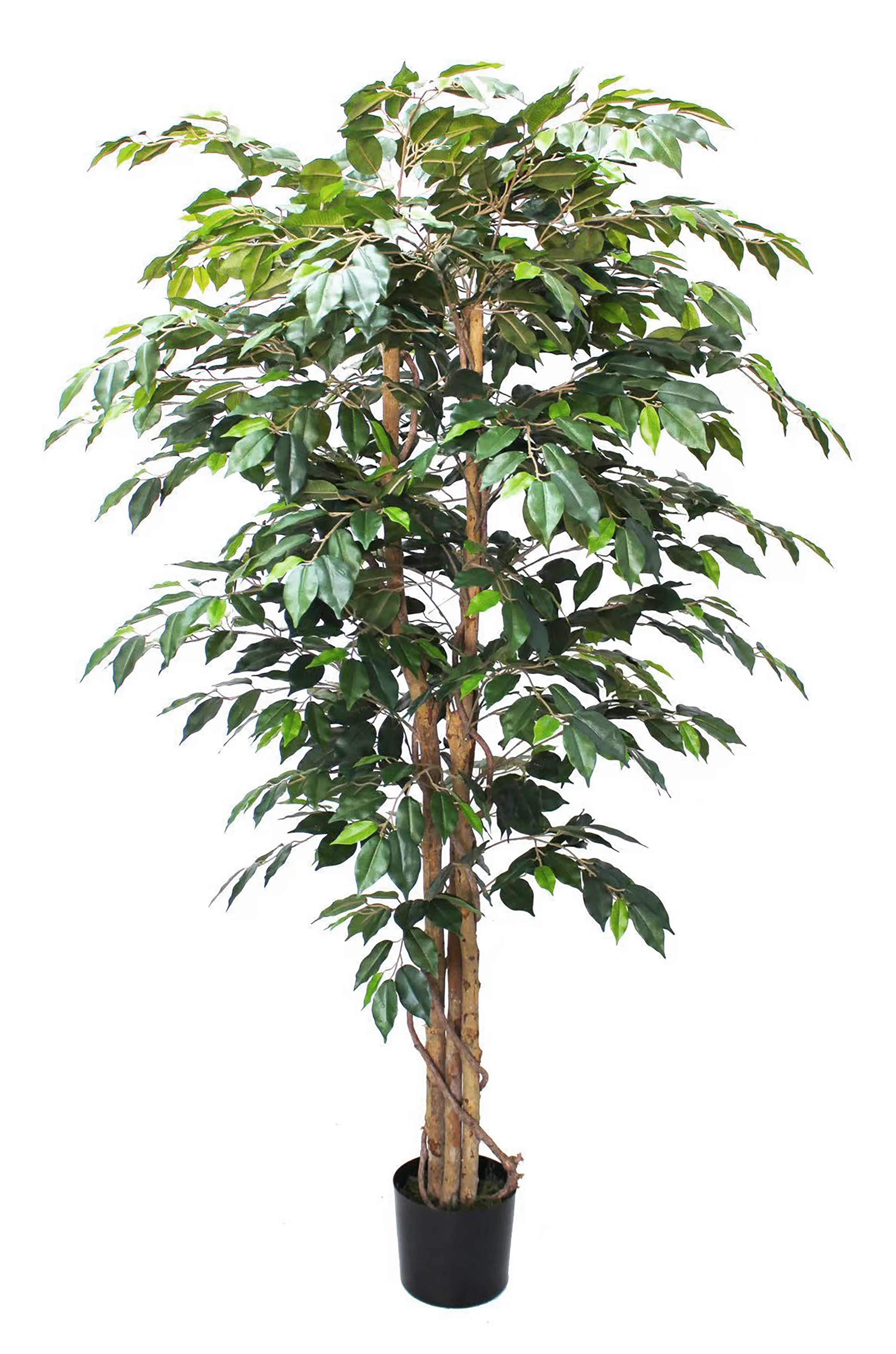 Árvore Artifical Ficus