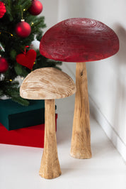 Large Mushroom in Madeira