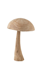 Cogumelo em Madeira Grande