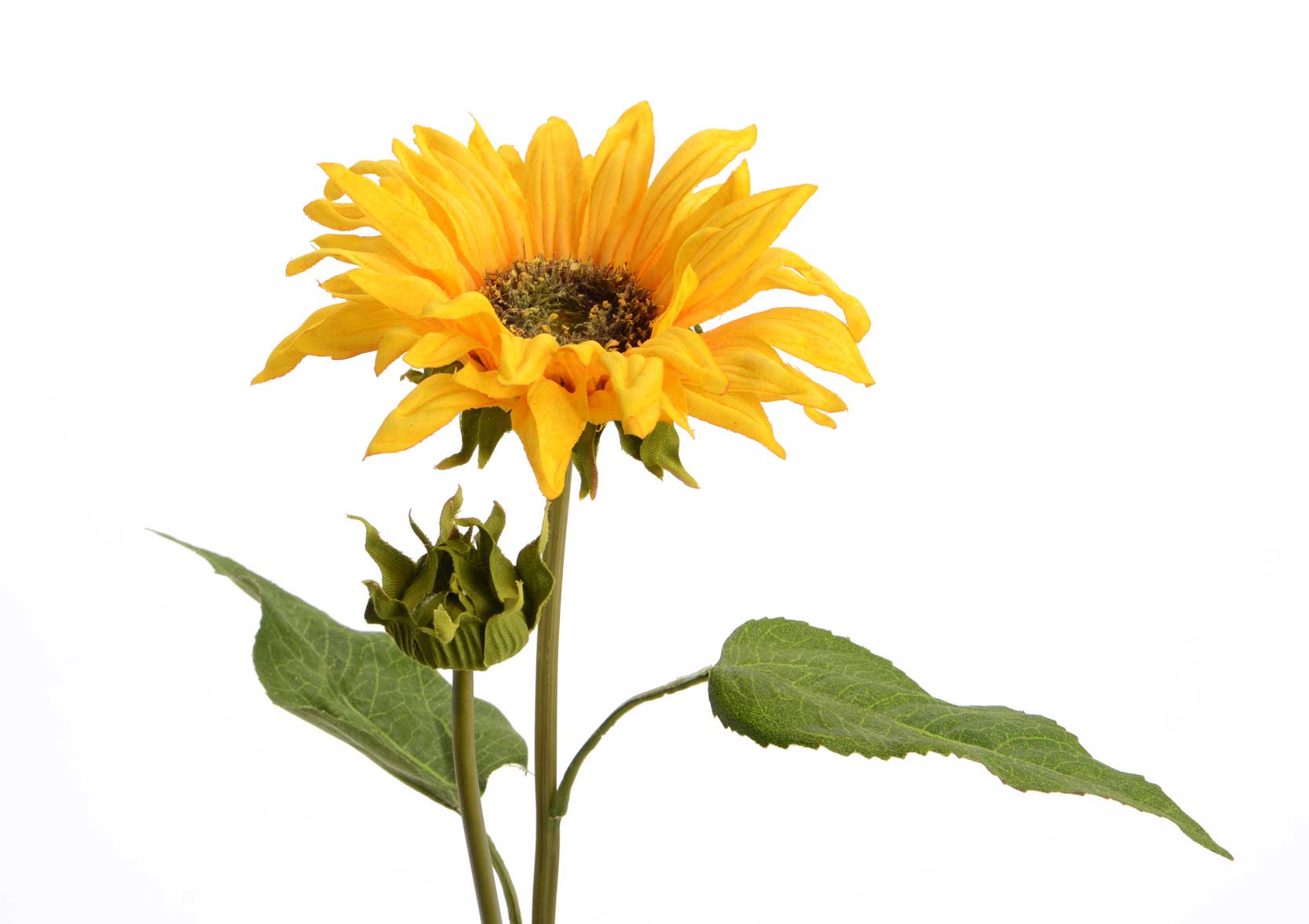 GIRASOL 51CM JA