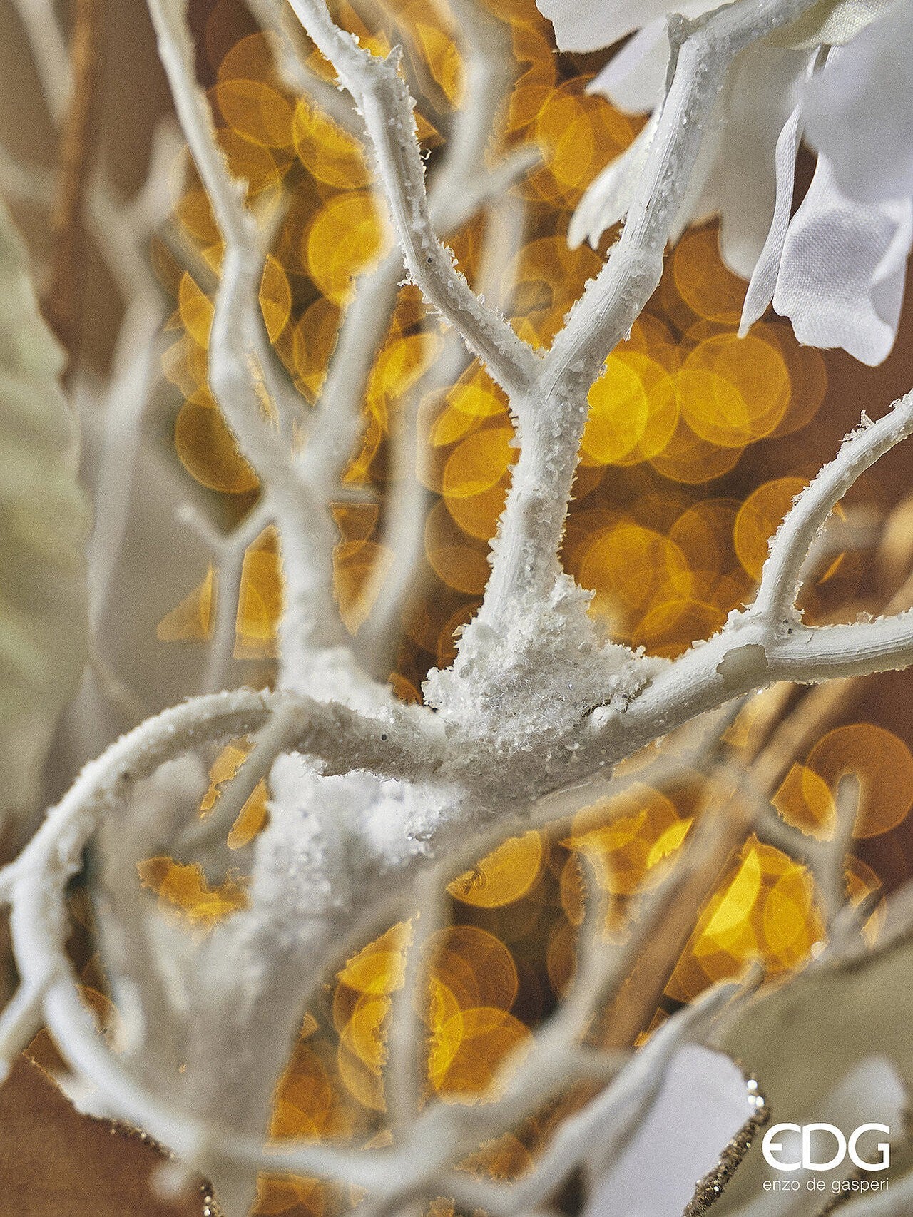 Ramo de acacia branco