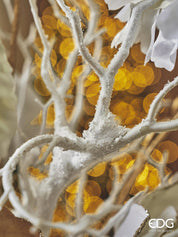 Ramo de acacia branco